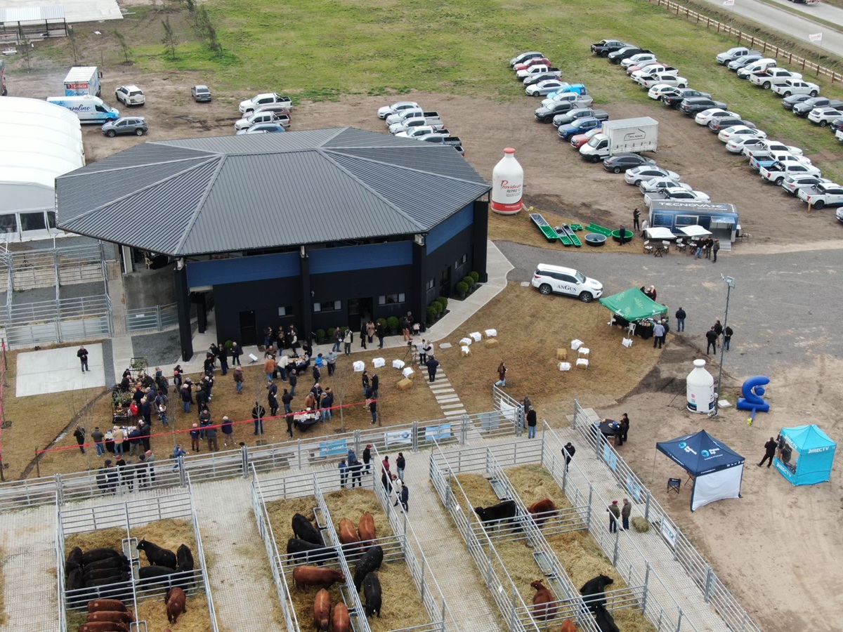 b246f847-66db-42c8-80fb-0ce4f3f93e25 2